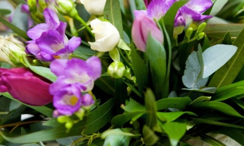 Çiçekçi Kumbaba Mahallesi/Şile Yakınlarında Çiçekçi Kumbaba Mahallesi/Şile Yakınlarında